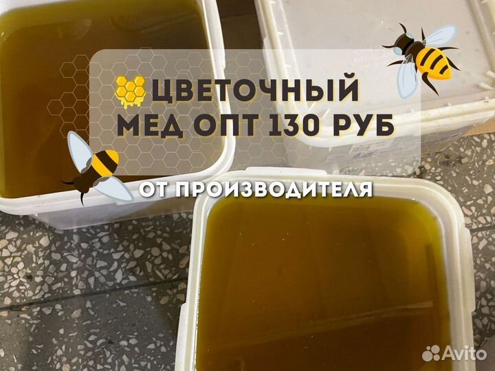 Свежий цветочный мёд оптом