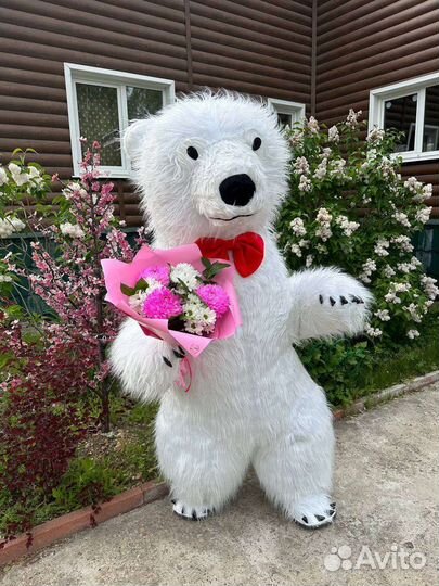 Аниматоры пупсики,Мишка на д.рождения,выписку