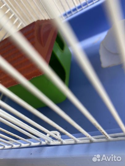 Клетка для хомяка