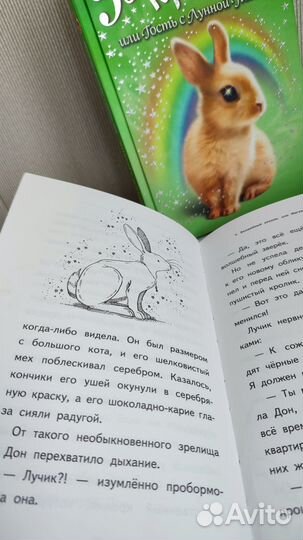 Детские книги Холли Вебб и Сью Бентли