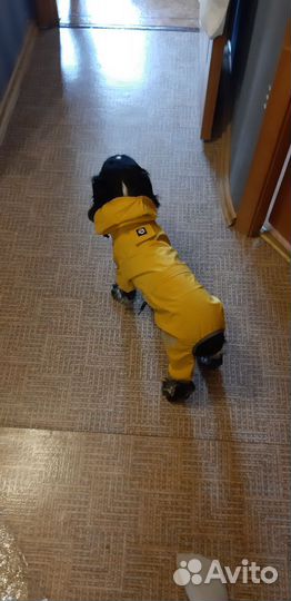 Дождевик для собаки, комбинезон всесезонный