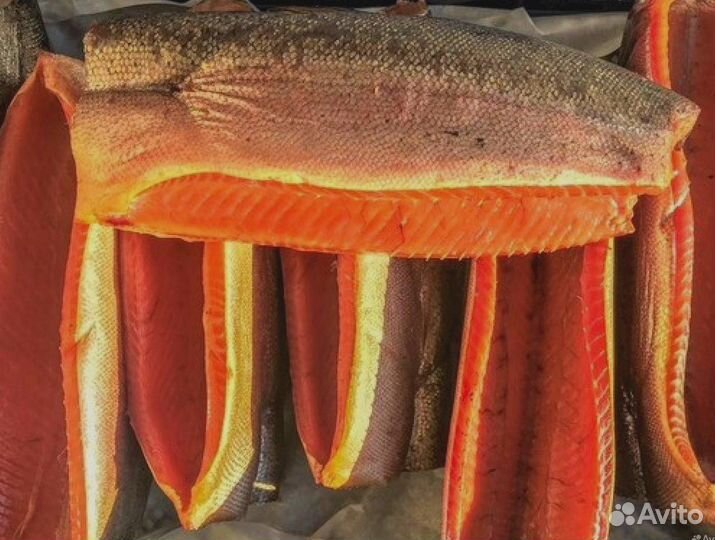 Форель балык без головы FRA3