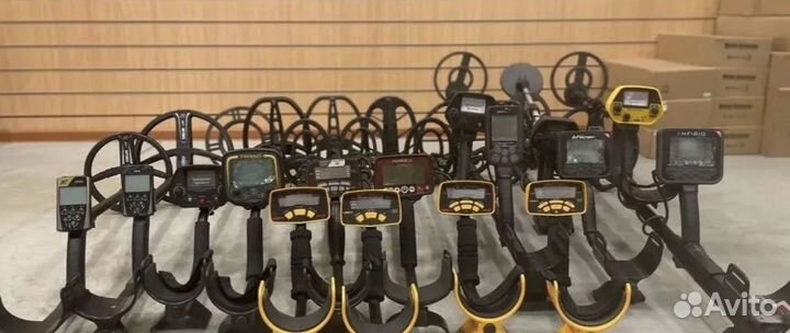 Прокат металлоискателя