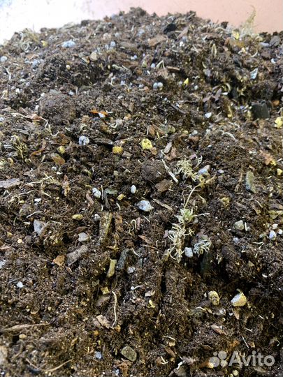 Грунт для комнатных цветов готовый универсальный