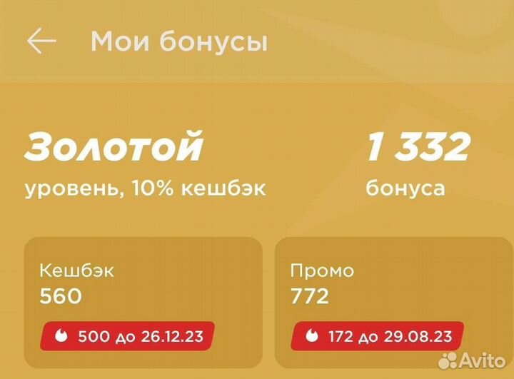 Бонусы Спортмастер, баллы бесплатно