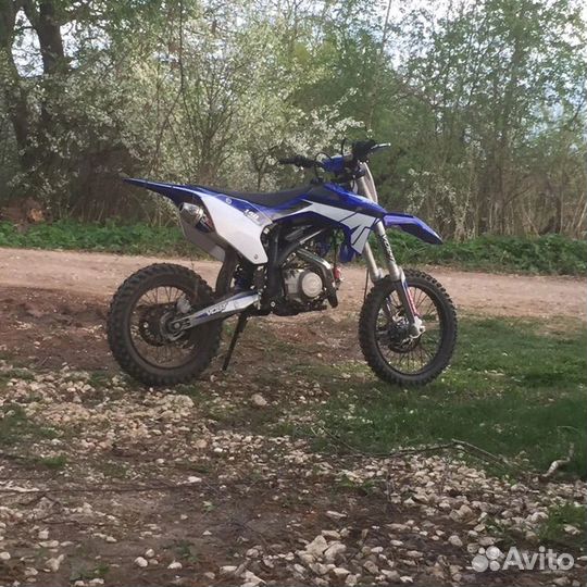 Apollo rxf freeride