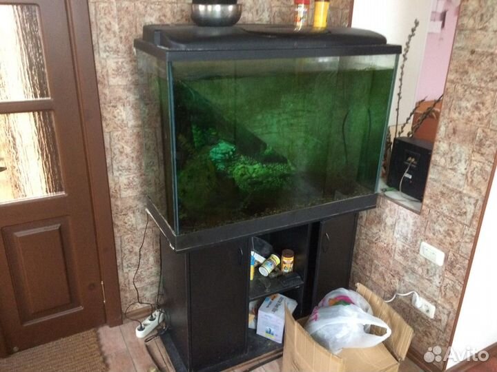 Аквариум