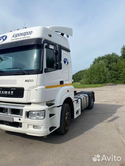 КАМАЗ 5490, 2019