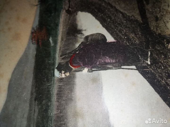 Открытка Дореволюционная Япония