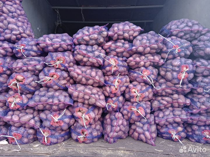 Продам картофель оптом