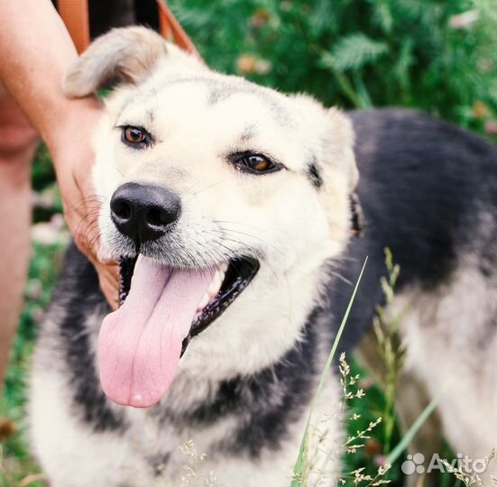 Очень нужен дом