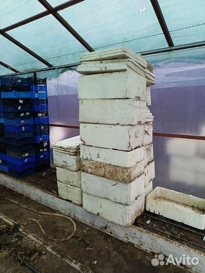 Пенопластовый ящик