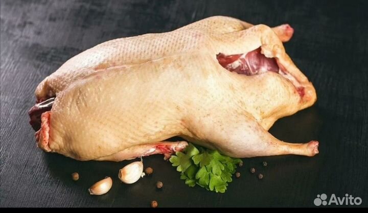 Мясо утки