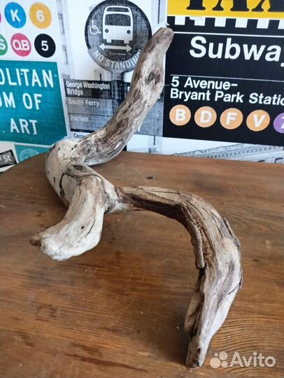 Коряга в аквариум (дуб)