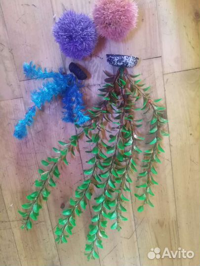 Аквариумные водоросли и рыбы