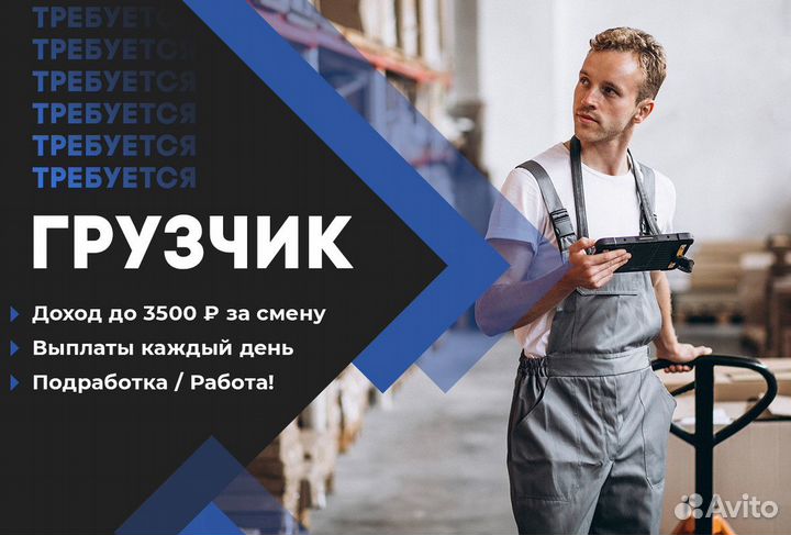 Грузчик м. Пионерская