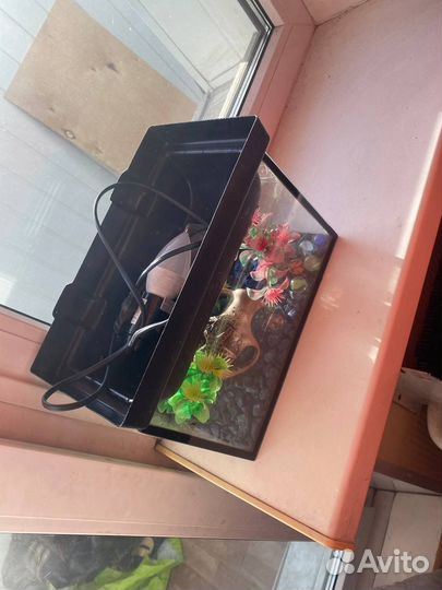 Аквариум со светом и все для него