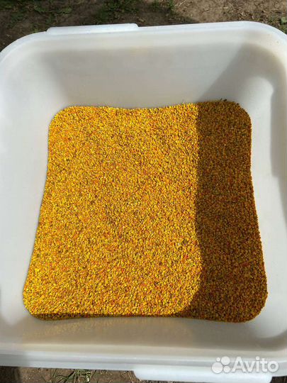 Пыльца цветочная