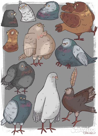 Художник иллюстратор