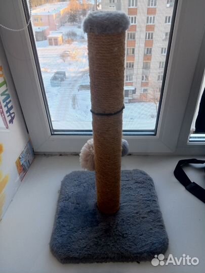 Когтеточка