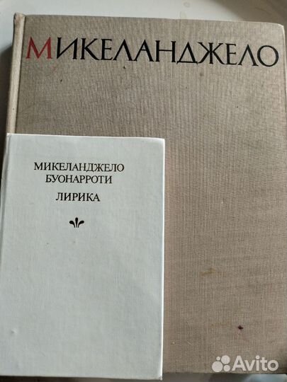 Книги по искусству Микеланджело, Суриков