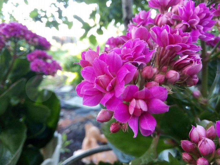 Дом 100 м² на участке 13 сот.