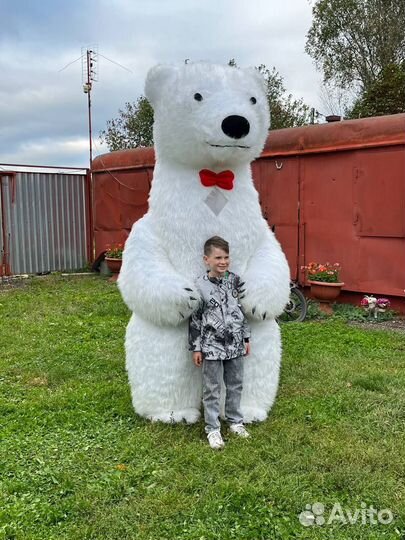 Белый мишка поздравление