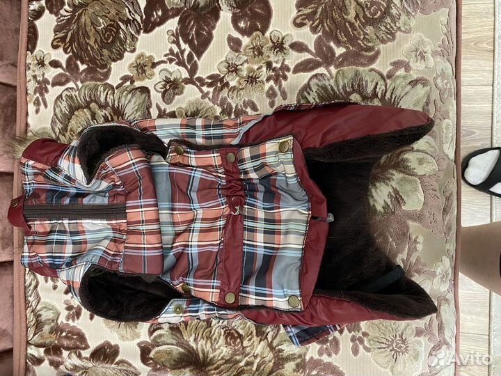 Одежда для собак