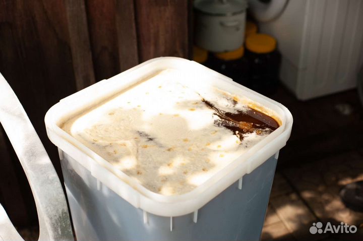 Мед натуральный разнотравие Солонешное Алтай