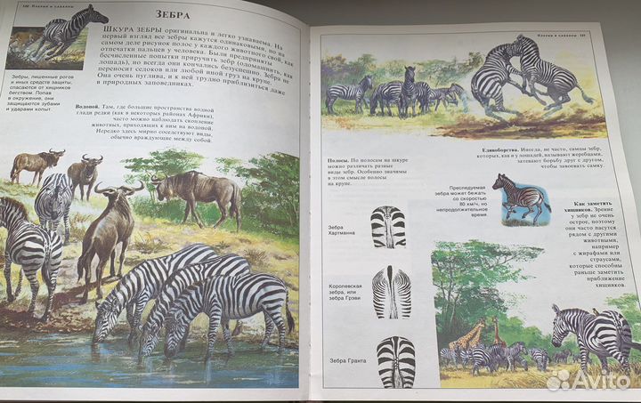 Большая энциклопедия о животных