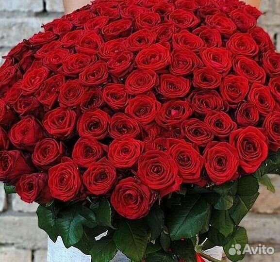 51 Роза, Букеты Цветы Розы 25 101 501 1001