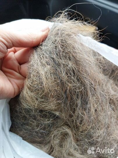 Собачья шерсть