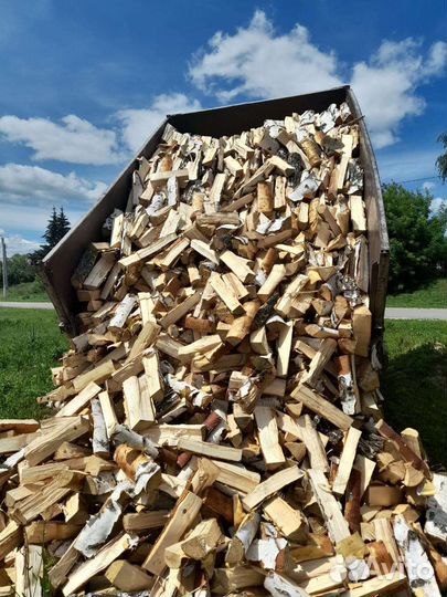 Услуги газ 3309 вывоз мусора