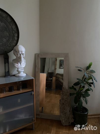 Большое комнатное растение в новом горшке