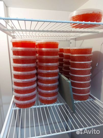 Красная икра 2023