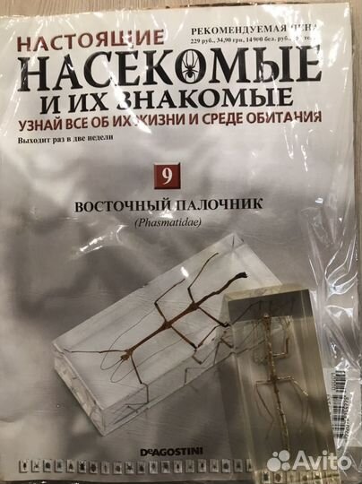 Журналы настоящие насекомые