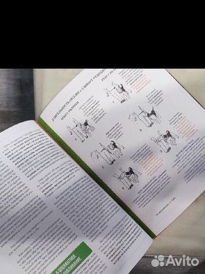 Главная книга владельца собаки