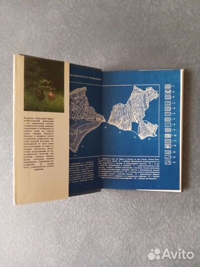 Пицунда-Мюссерский заповедник, 1987