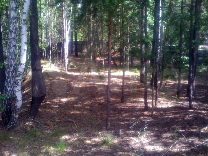 Участок 8 сот. (ИЖС)