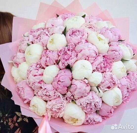 Пионы Букет