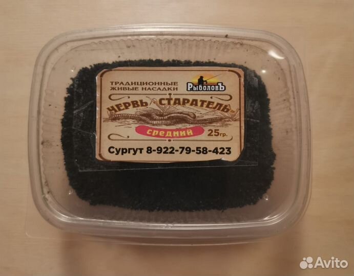 Червь Старатель (навозный)