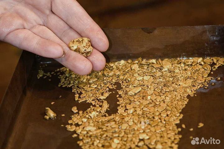 Инвестиции в предприятие по добыче золота