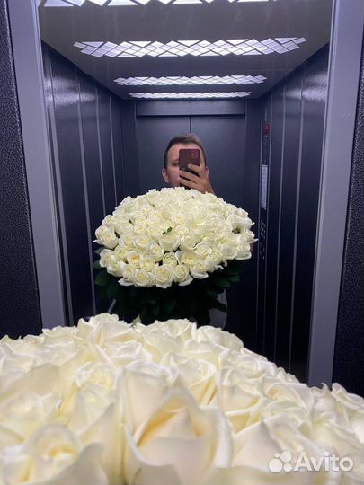 Букет из белых роз. 25 роз. 51 роза. 101 роза