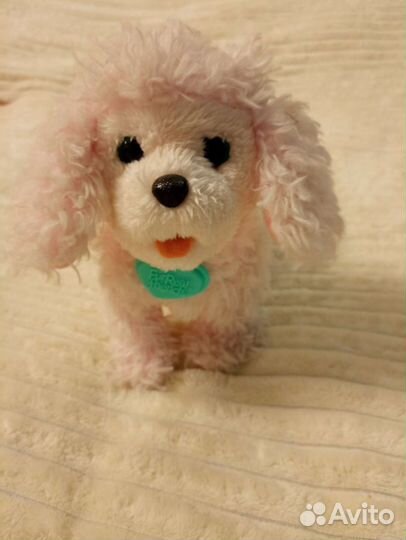 Интерактивная собака