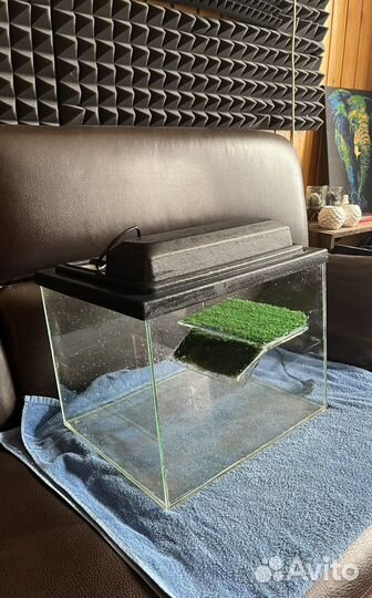 Аквариум для черепах