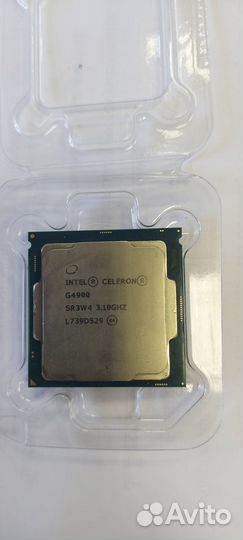 Процессор intel celeron g4900