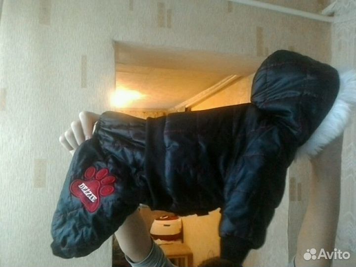 Комбеньзон для собаки