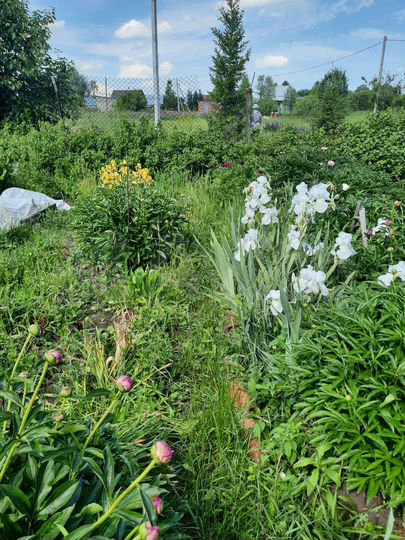 Дом 90 м² на участке 29 сот.