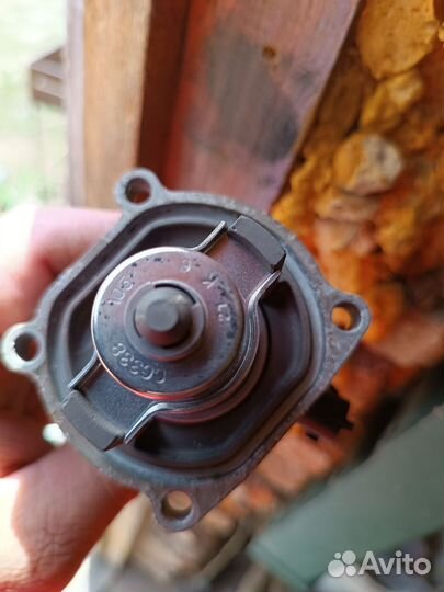 Термостат GM