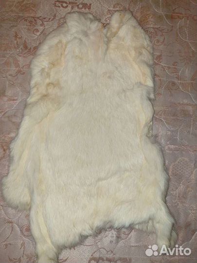 Шкурки кролика